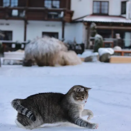 Alpejski Boutique Карпач