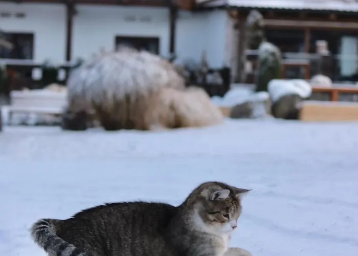 Alpejski Boutique Karpacz