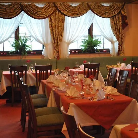 ホテル Alpejski Boutique カルパッチ