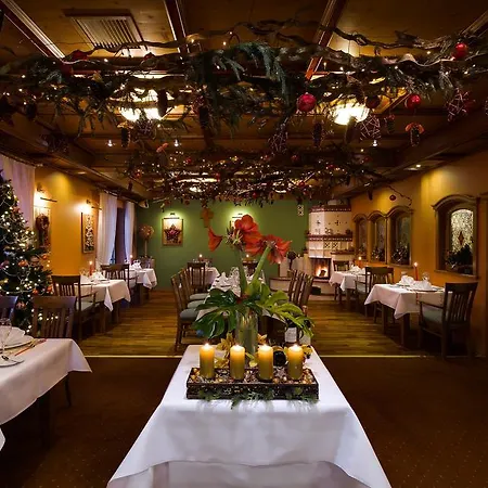 Alpejski Hotel 4*