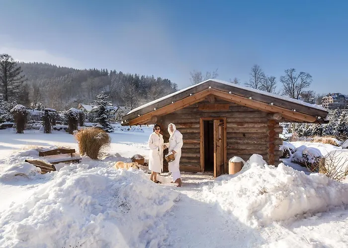 Alpejski Boutique Hotel 4*